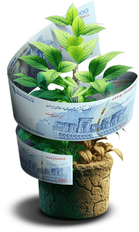 مشاهده کاتالوگ