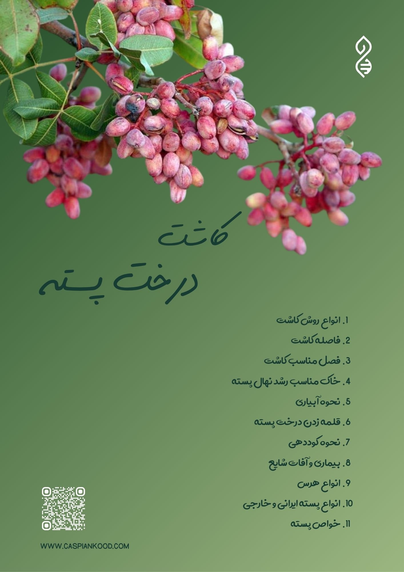https://www.caspiankood.com/تازه