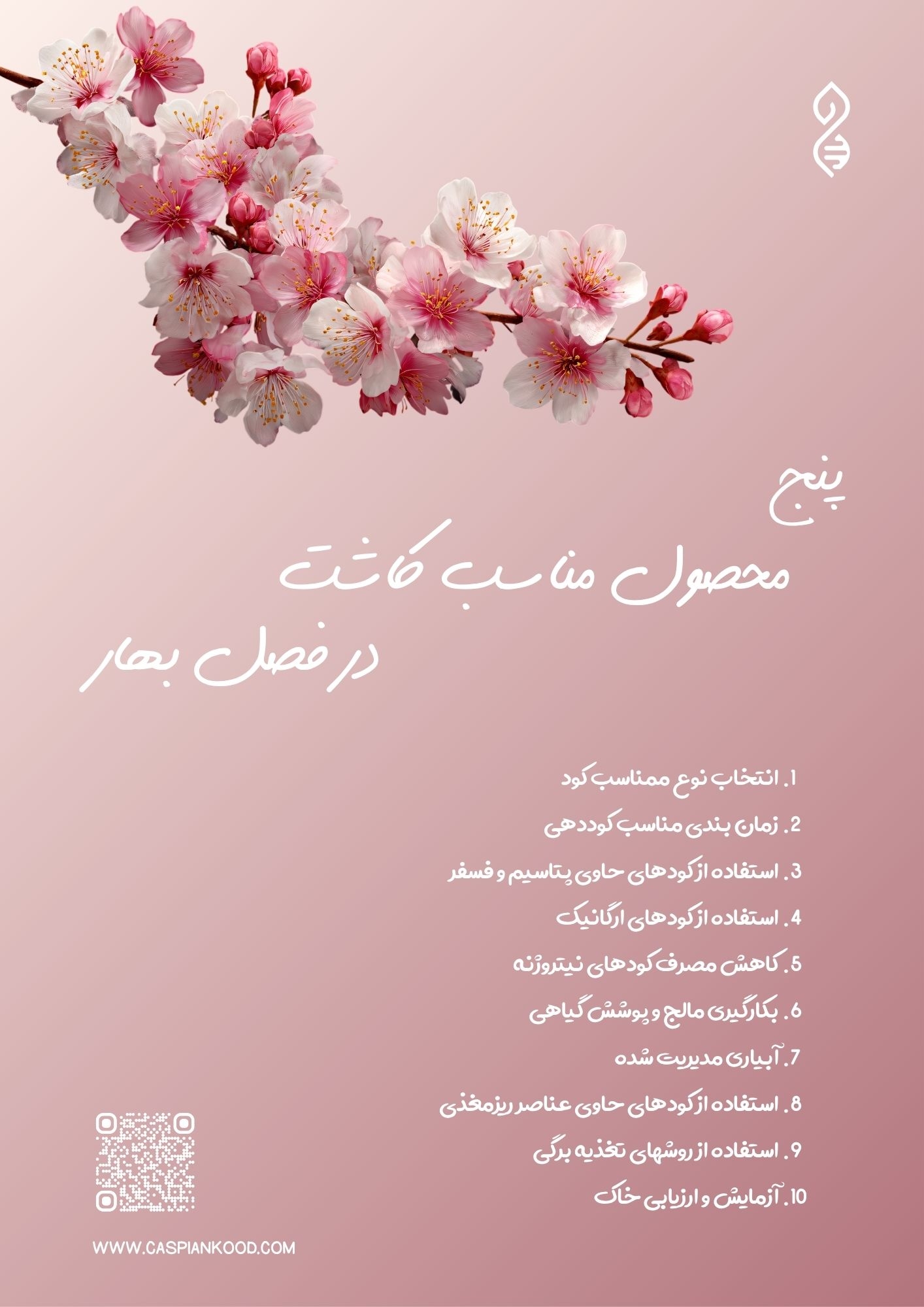 https://www.caspiankood.com/تازه