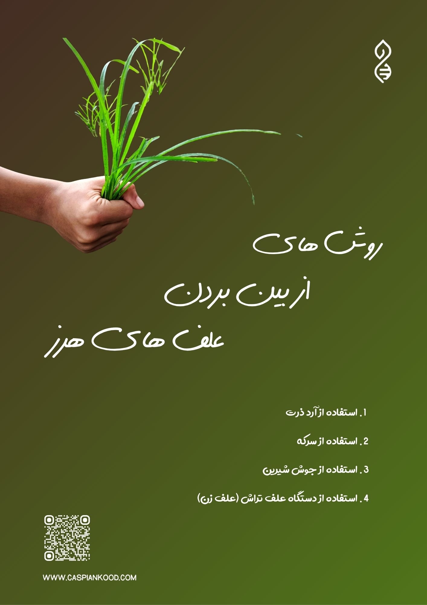 https://www.caspiankood.com/تازه