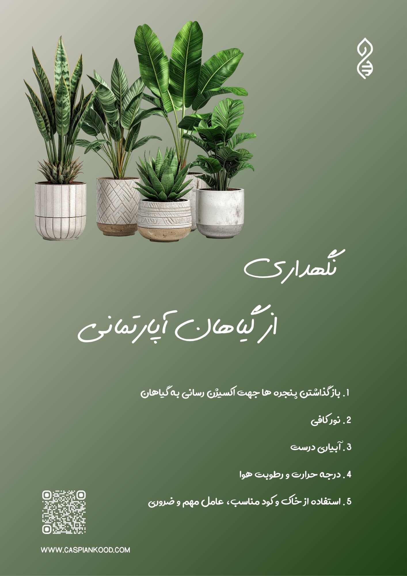 https://www.caspiankood.com/تازه