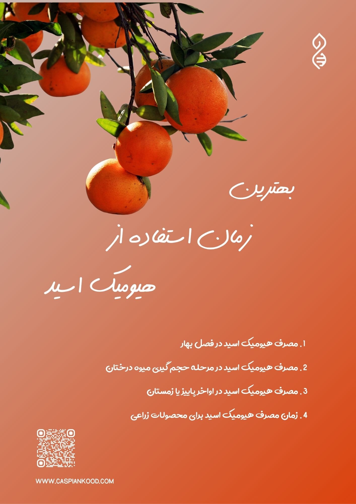 https://www.caspiankood.com/تازه