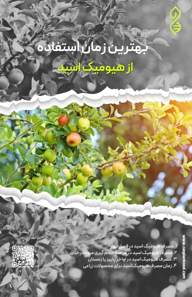 https://www.caspiankood.com/تازه