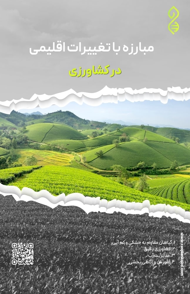 https://www.caspiankood.com/تازه