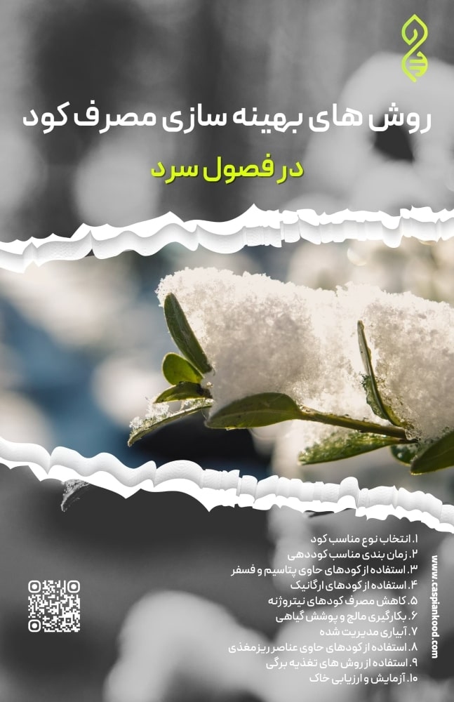 https://www.caspiankood.com/تازه
