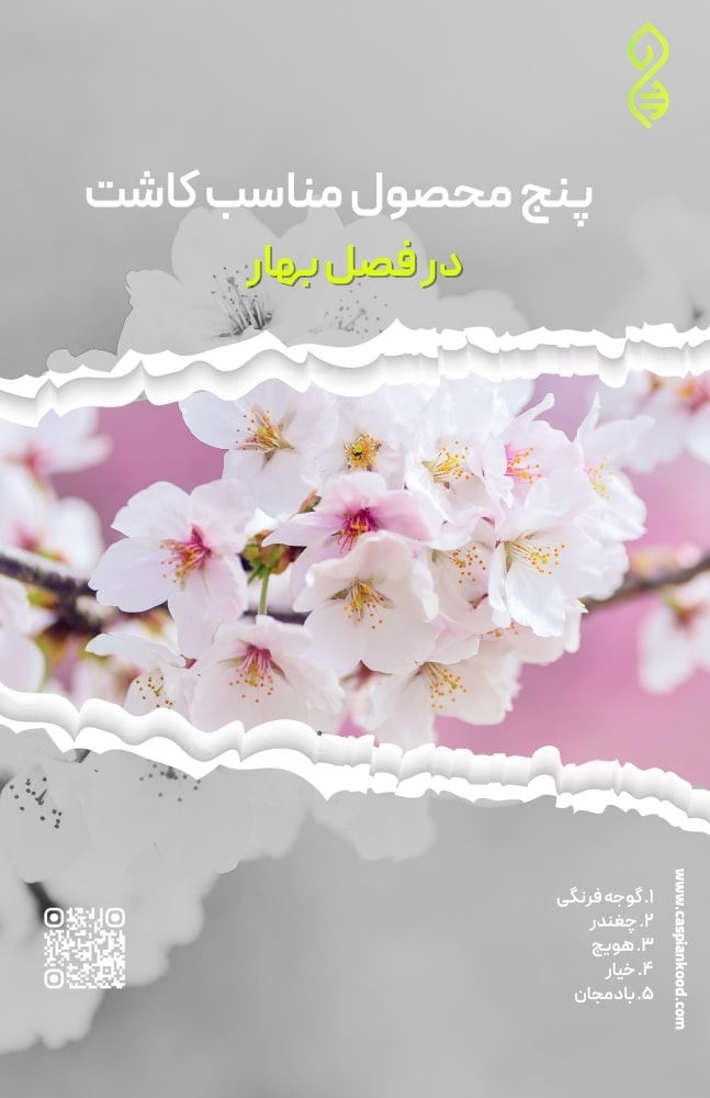 https://www.caspiankood.com/تازه