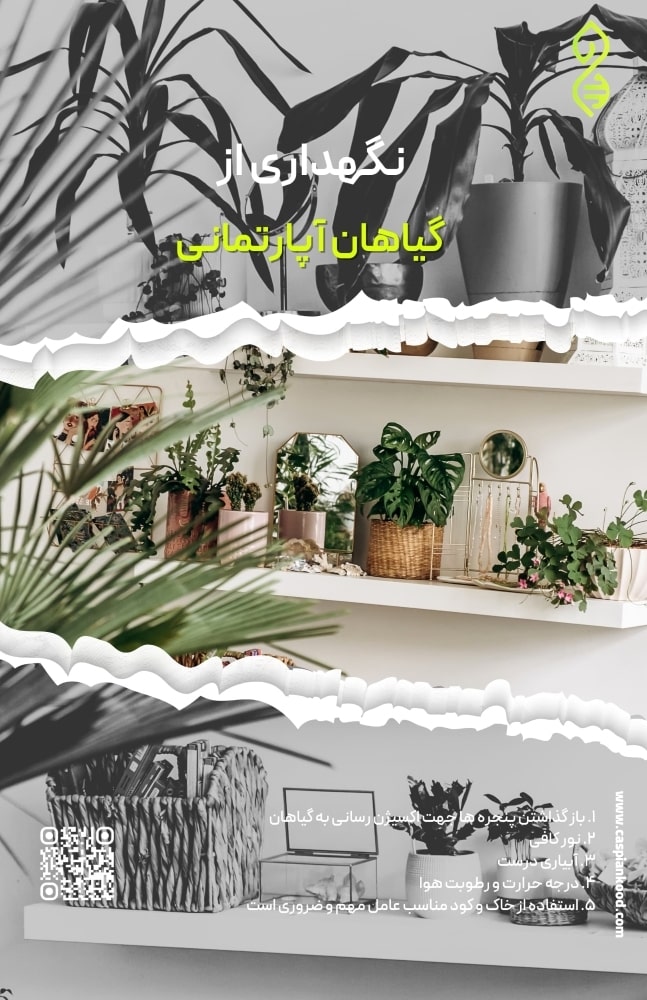 https://www.caspiankood.com/تازه