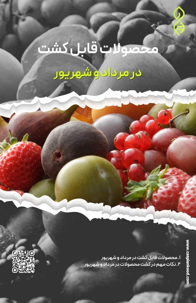 https://www.caspiankood.com/تازه